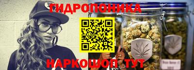 наркотики Новозыбков